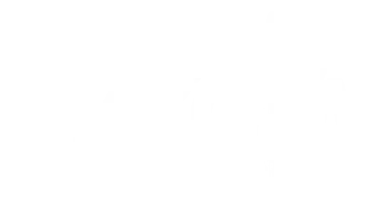 Bykota